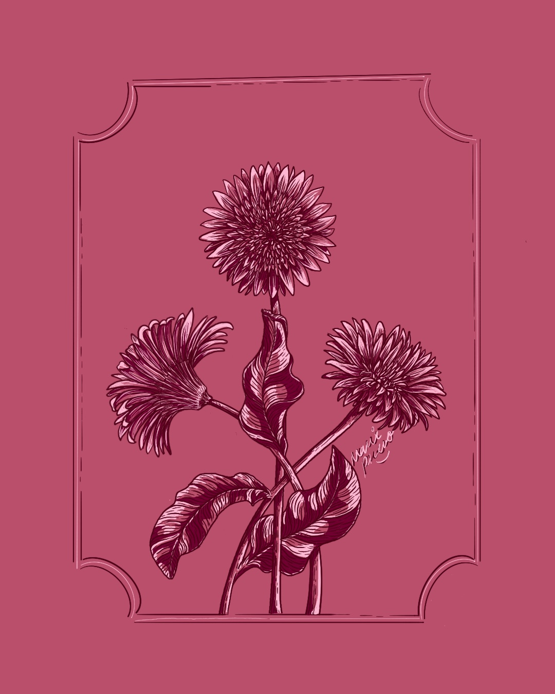 Gerberay Daisy 30daysofillustration botanicalart daisy drawing gerbera illustration lineart monochrome procreate procreateart