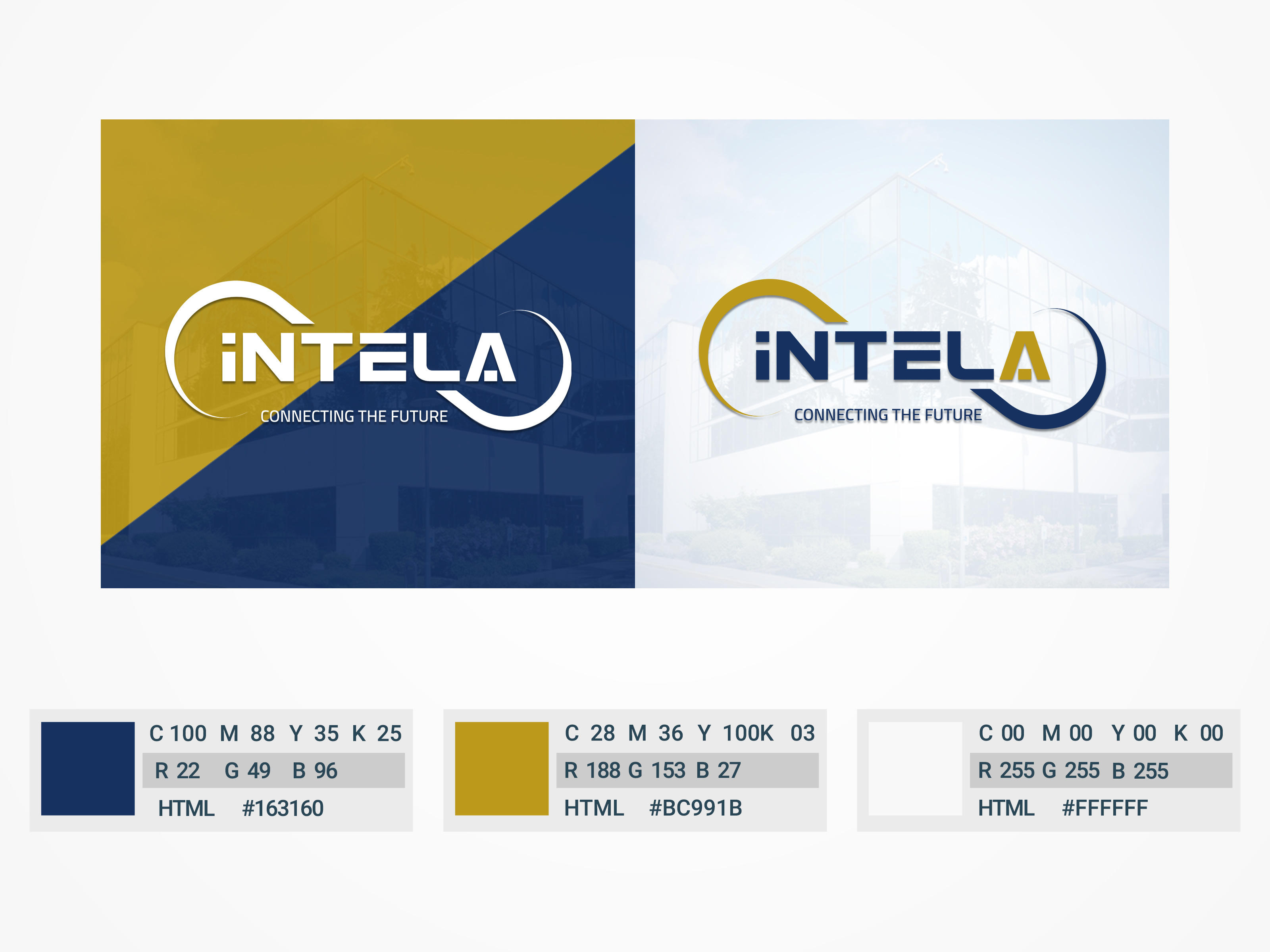 Example of Professional Brand Logo Design