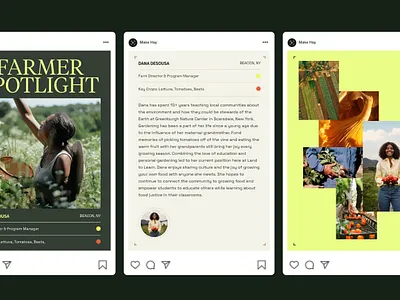 Make Hay Social Design branding design graphic design identity design social typography