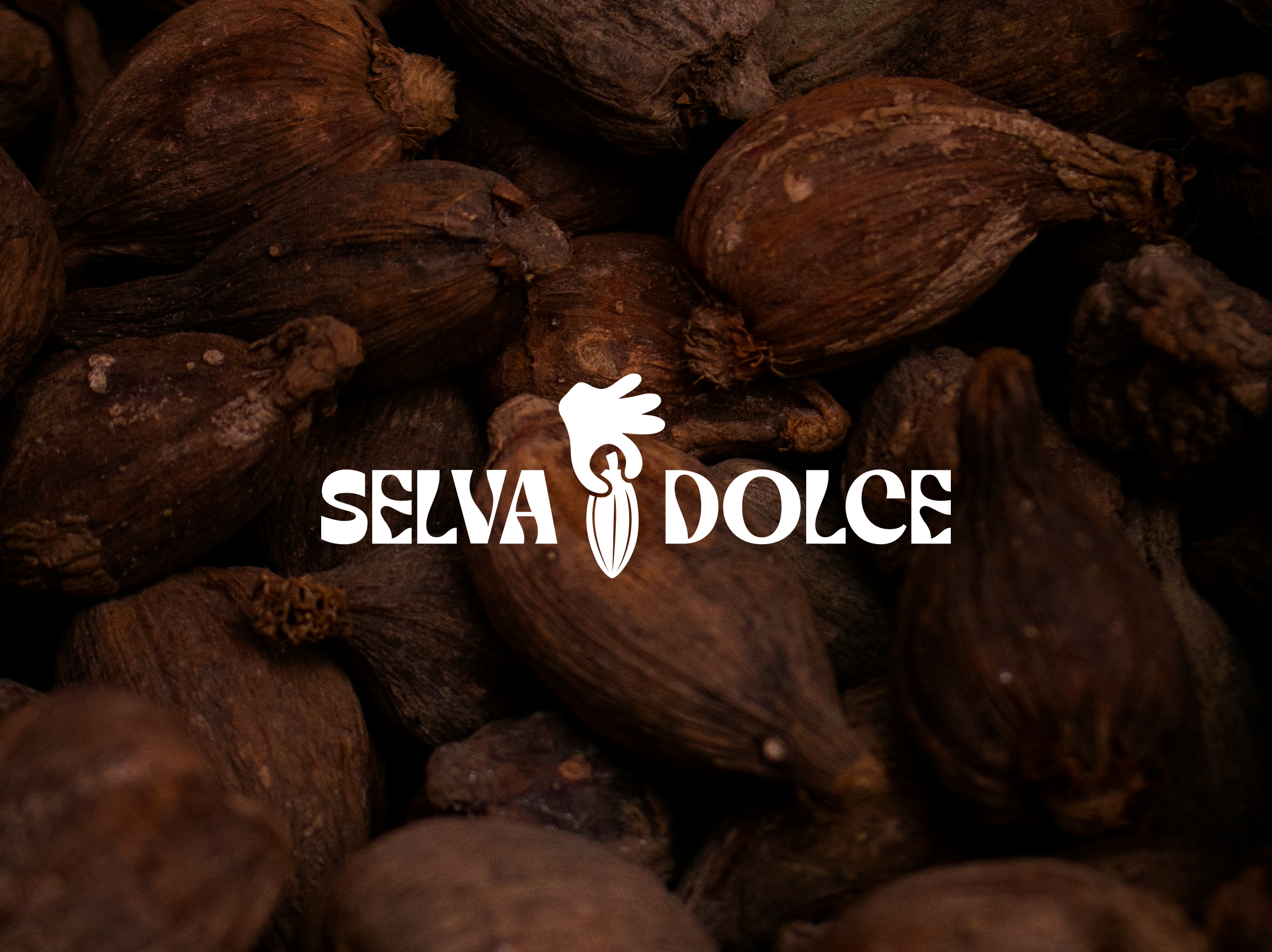 Selva Doce Chocolate Branding Identity brazilian chocolate chocolate brand chocolate landing page chocolate logo chocolate packaging e commerce ui figma design food and drink ui food landing page landing page laptop mockup