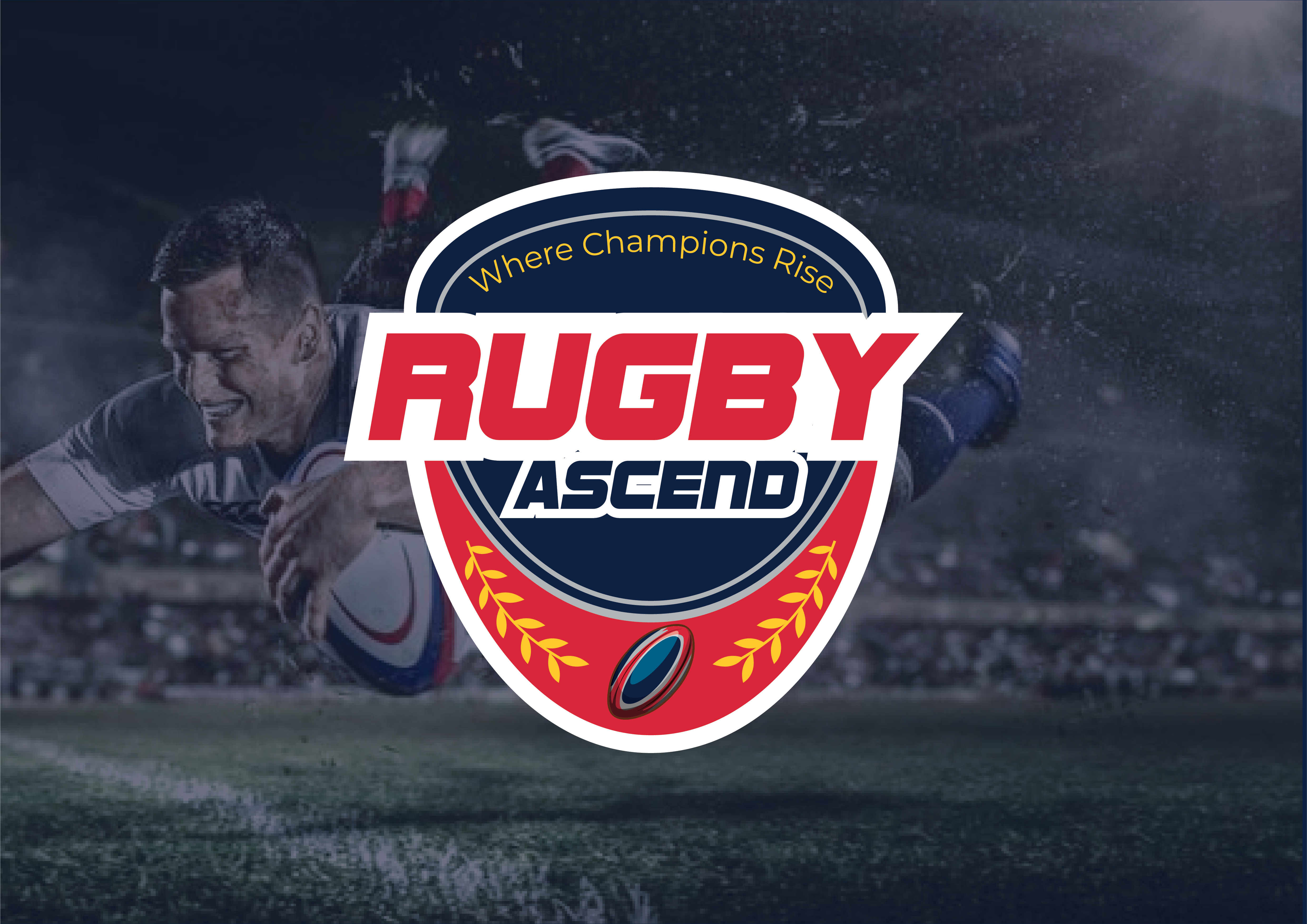 Example of Full Brand Identity