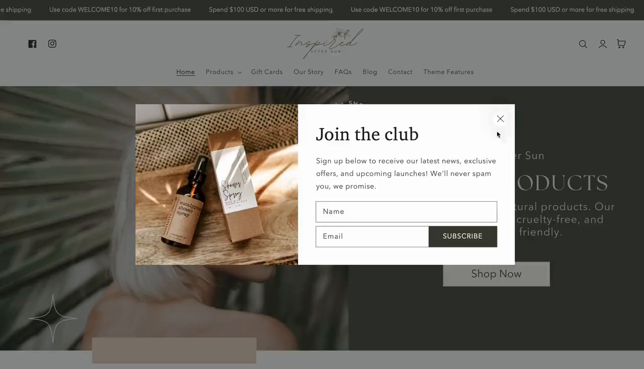 Example of Pro Shopify Store Setup