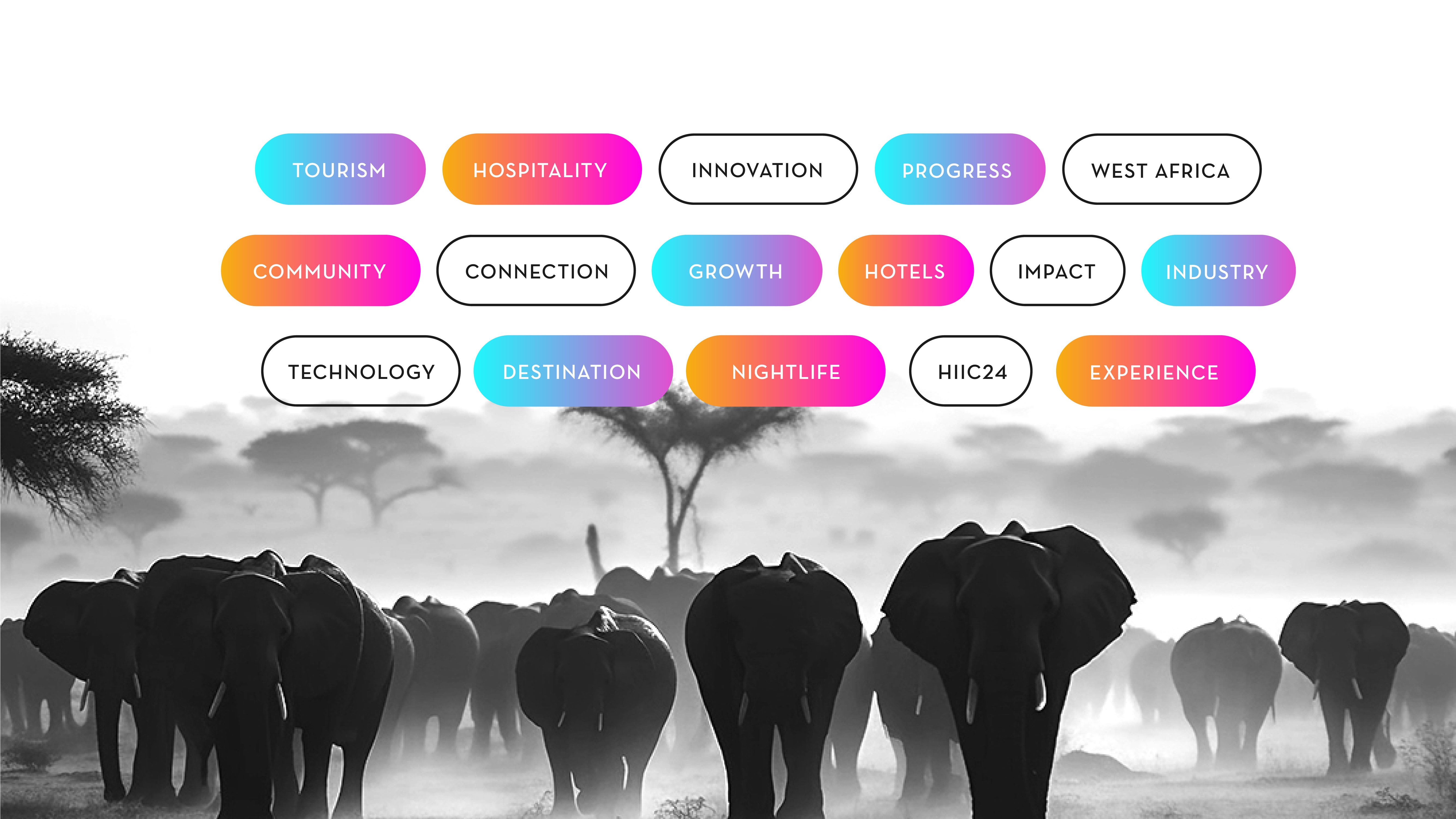 Digital Promotion & Social Media Designs africa artificial intelligence branding campaign design conference design flyer flyer design graphic design hospitality conference social media roll out tourism visual identity