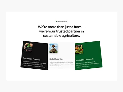 Agricultural website design agro branding clean design graphic design green illustration logo modern ui uiux uiuxdesign ux webdesign white