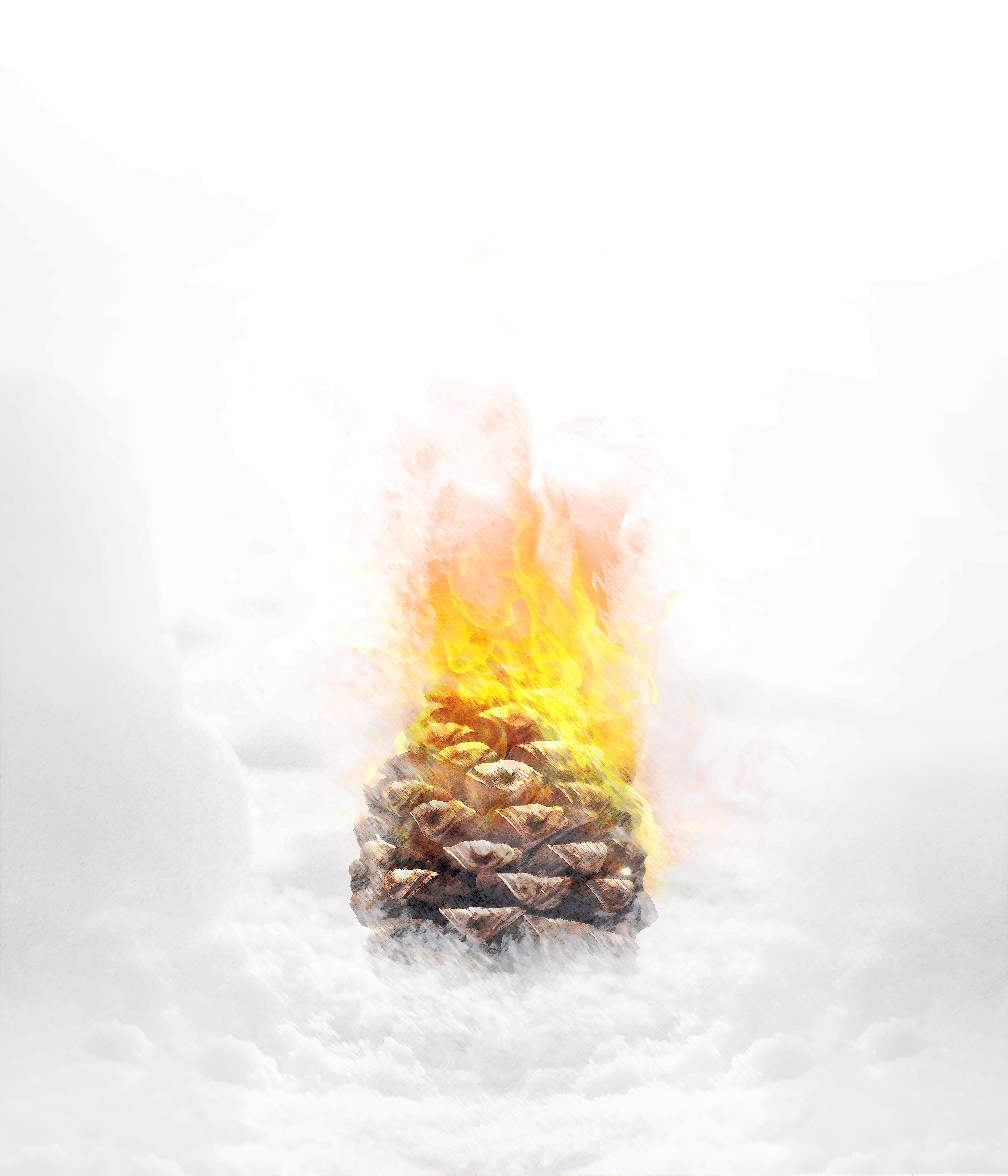 Snow & Pine by Roozbeh Bemani coverart design graphic design music photoshop pine poster posterdesign roozbehbemani snow