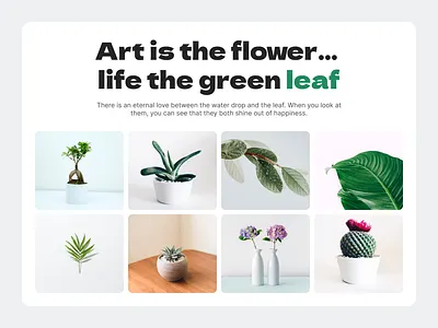 Botanical Hero Gallery UI autolayout botanical botanical hero figma floral galleryui hero section landingpage leaf ui minimaldesign plantui responsive ui
