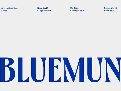 Bluemun Serif Font elegant typeface minimal font