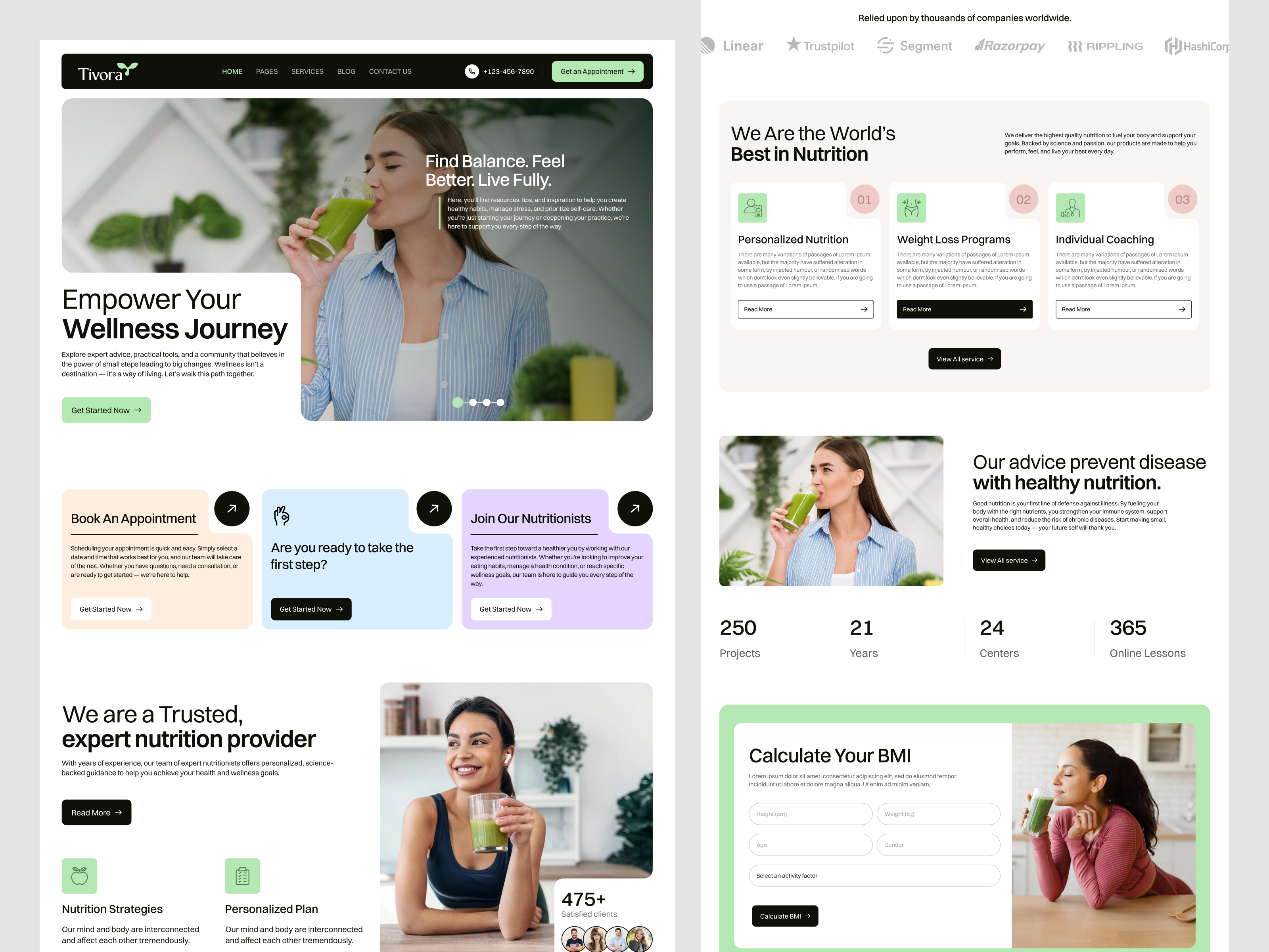Example of Logo, Brand Identity & Website Design