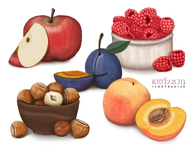 Illustrations of fruits apple cherry fruits hazelnut illustration peach plum