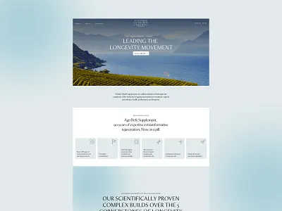 HOLISTIC HEALTH interface ui ux webdesign