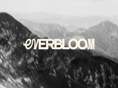 Everbloom | Brand Identity for a Floral Studio branding graphic design logo
