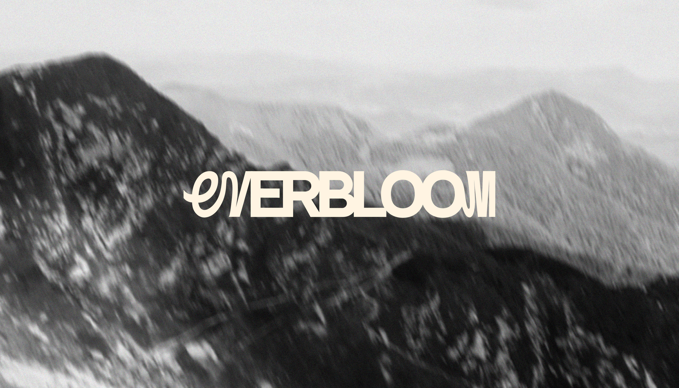 Everbloom | Brand Identity for a Floral Studio