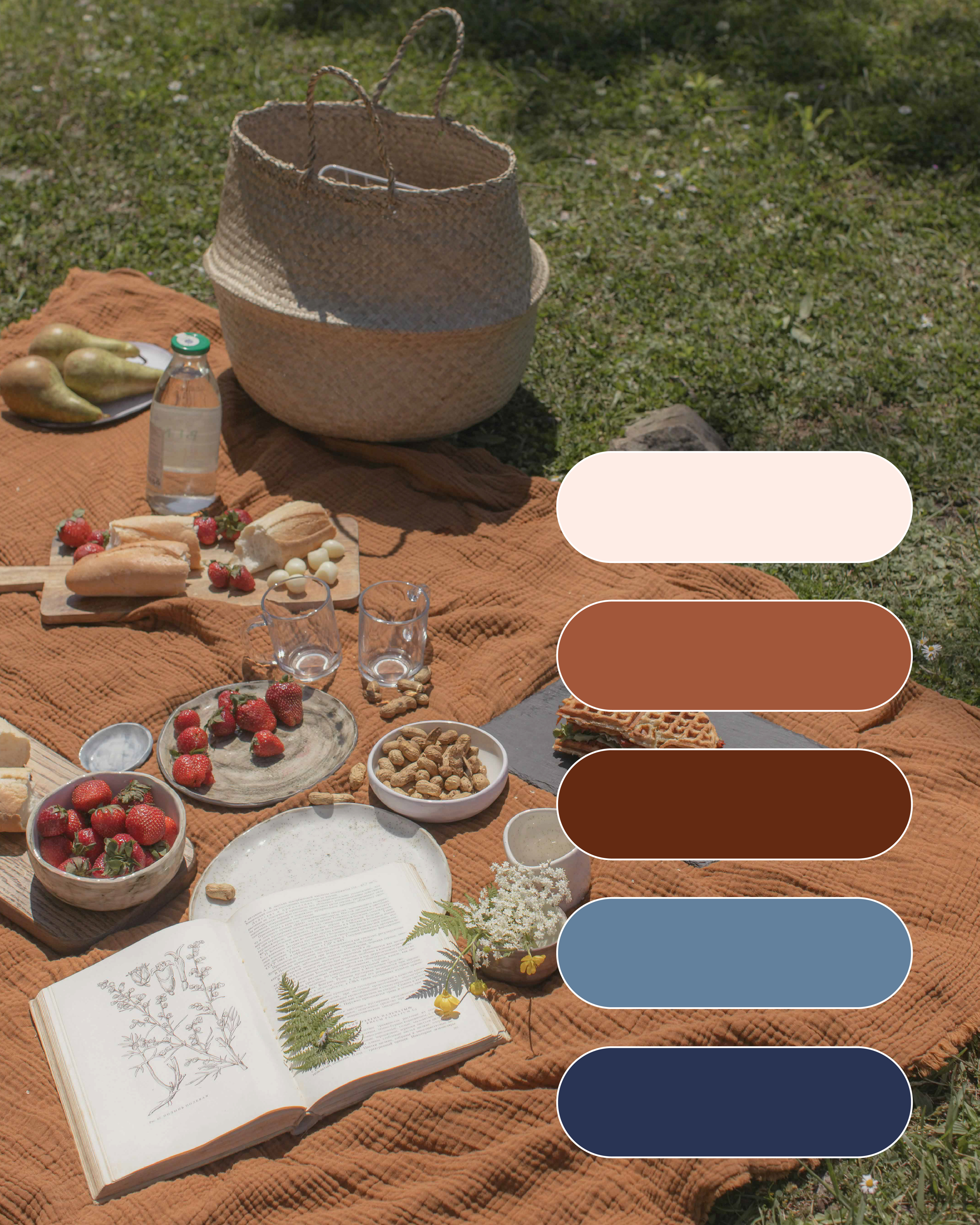 Crystal Raquel Johnson Brand + Website Design brand design branding design graphic design icon design illustration logo logo design ui website design