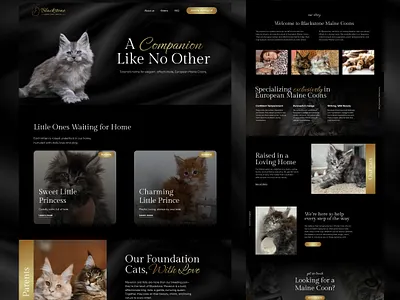 Maine Coons - Dark elegant pet website design animals cats cattery creative dark ecommerce elegant kittens landing page minimal pets squarespace template ui ux web design website website design