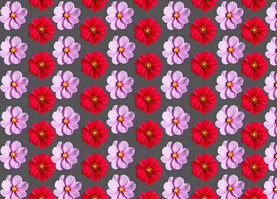 patterns flowers branding graphic design motion graphics pattren