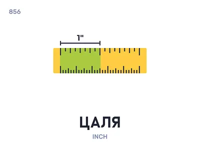 Цáля / Inch belarus belarusian language daily flat icon illustration vector word