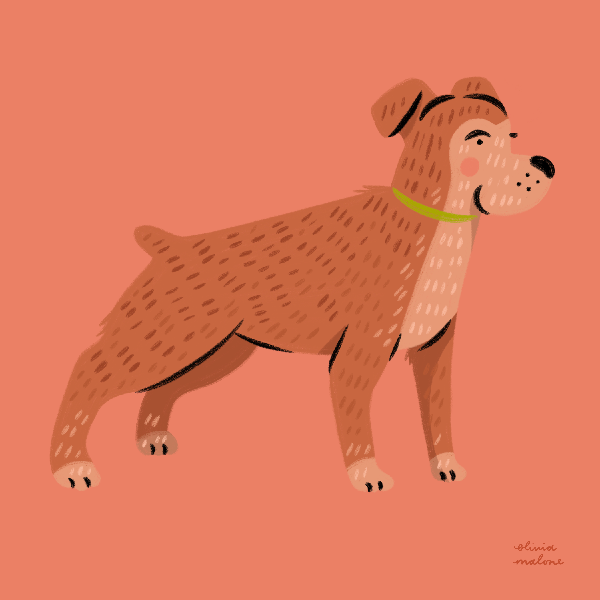 Dog Portrait animal design dog dog illustration hand drawn illustration illustrator pet pet portrait procreate