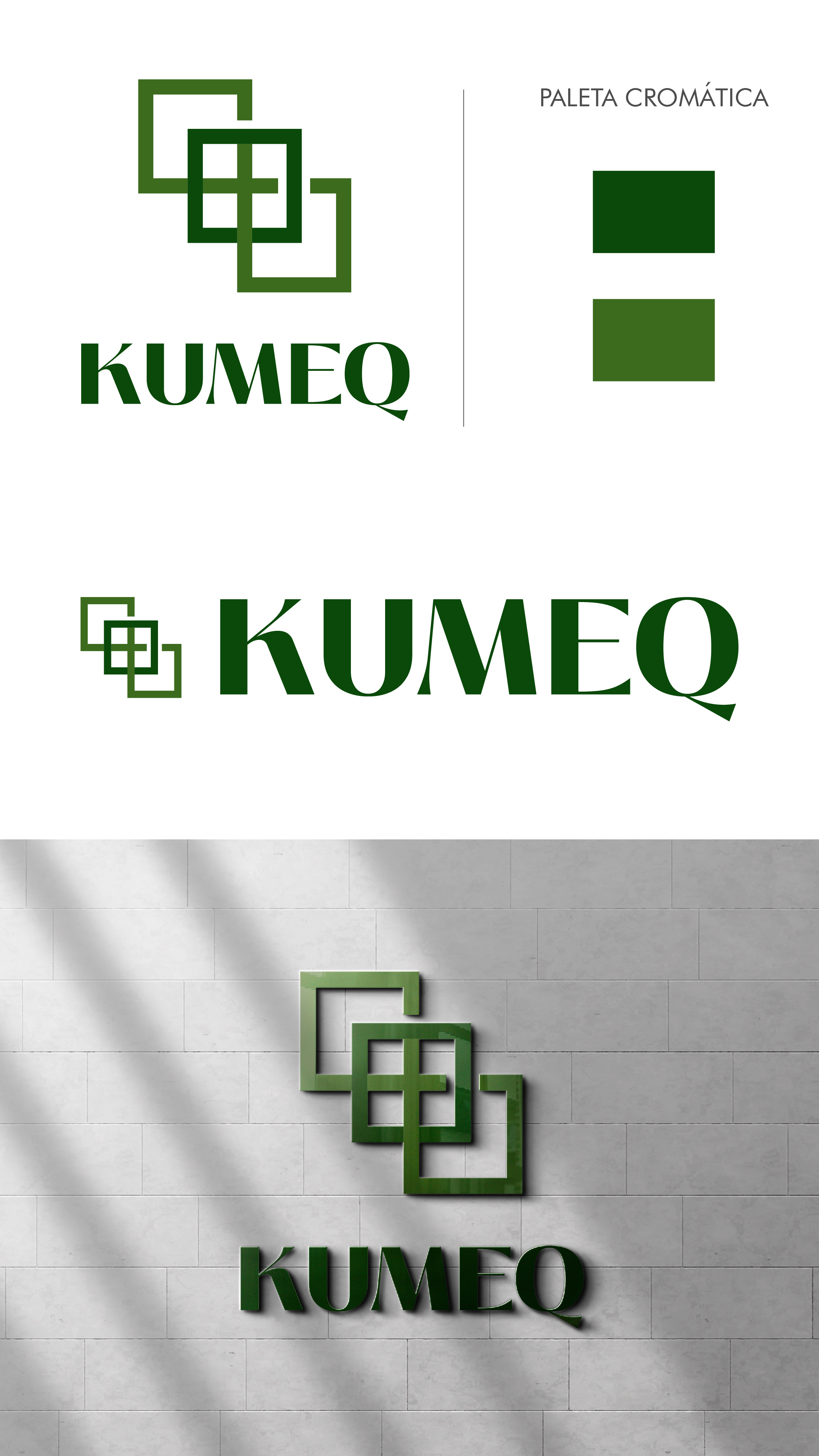 Abstract Logo branding design graphic design illustration logo vector