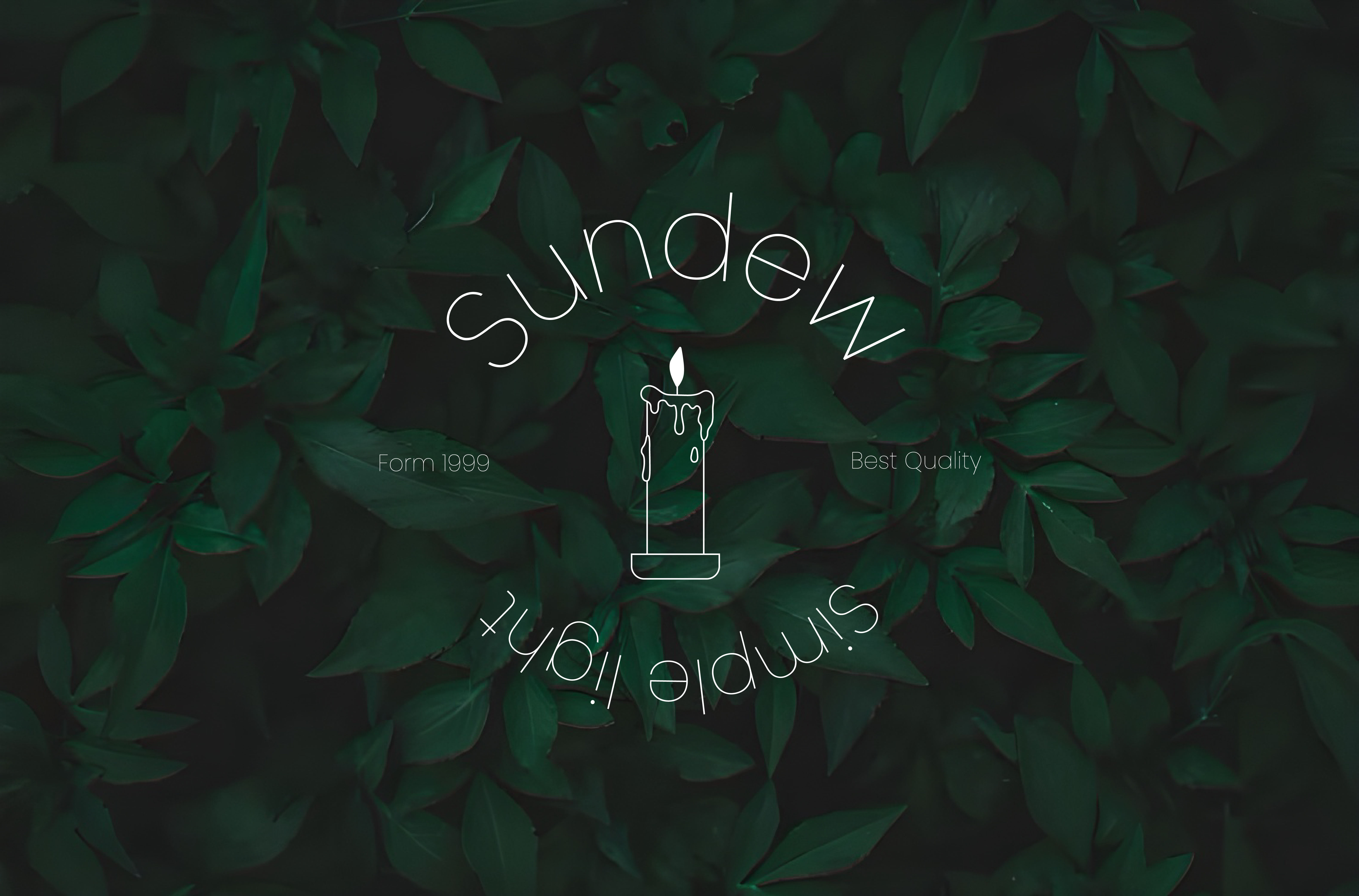 Box Packaging Design 3d adobe illustrator adobe photoshop brand packaging creative direction creative packaging custom packaging graphic design label design label packaging design luxury packaging minimalist packaging packaging packaging and label design packaging design packaging design ideas packaging designs product design product packaging