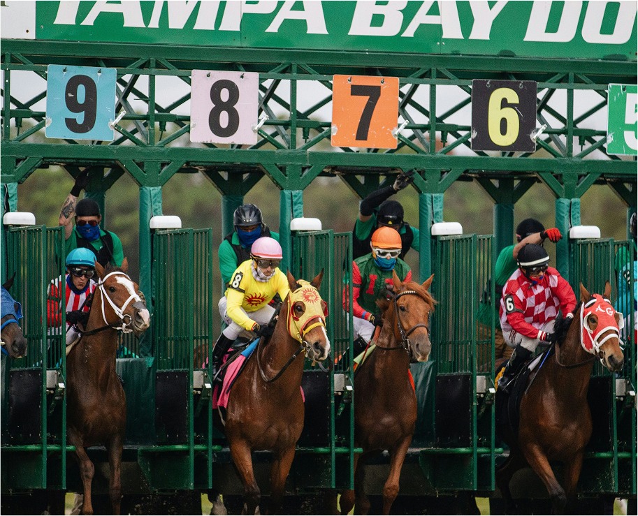 Casper - Horse Racing App branding horse logo racing sports ui