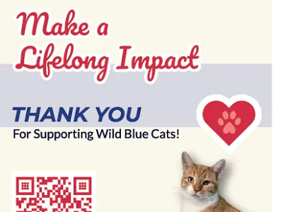 Wild Blue Cats – Donation Flyer flyerdesign fundraisingdesign nonprofitmarketing printcalltoaction