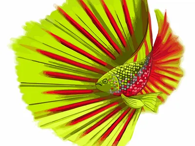 Beta Vector 2 illustration vector