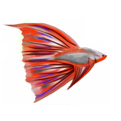 Beta 3 illustration vector