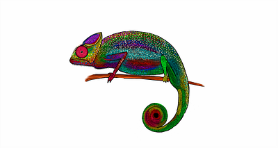 Chameleon Vector illustration vector