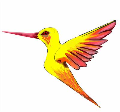 Hummingbird Vector 2 illustration vector