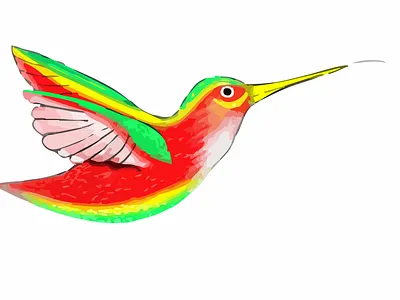 Hummingbird Vector 4 illustration vector