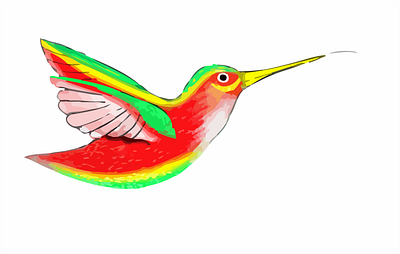 Hummingbird Vector 4 illustration vector