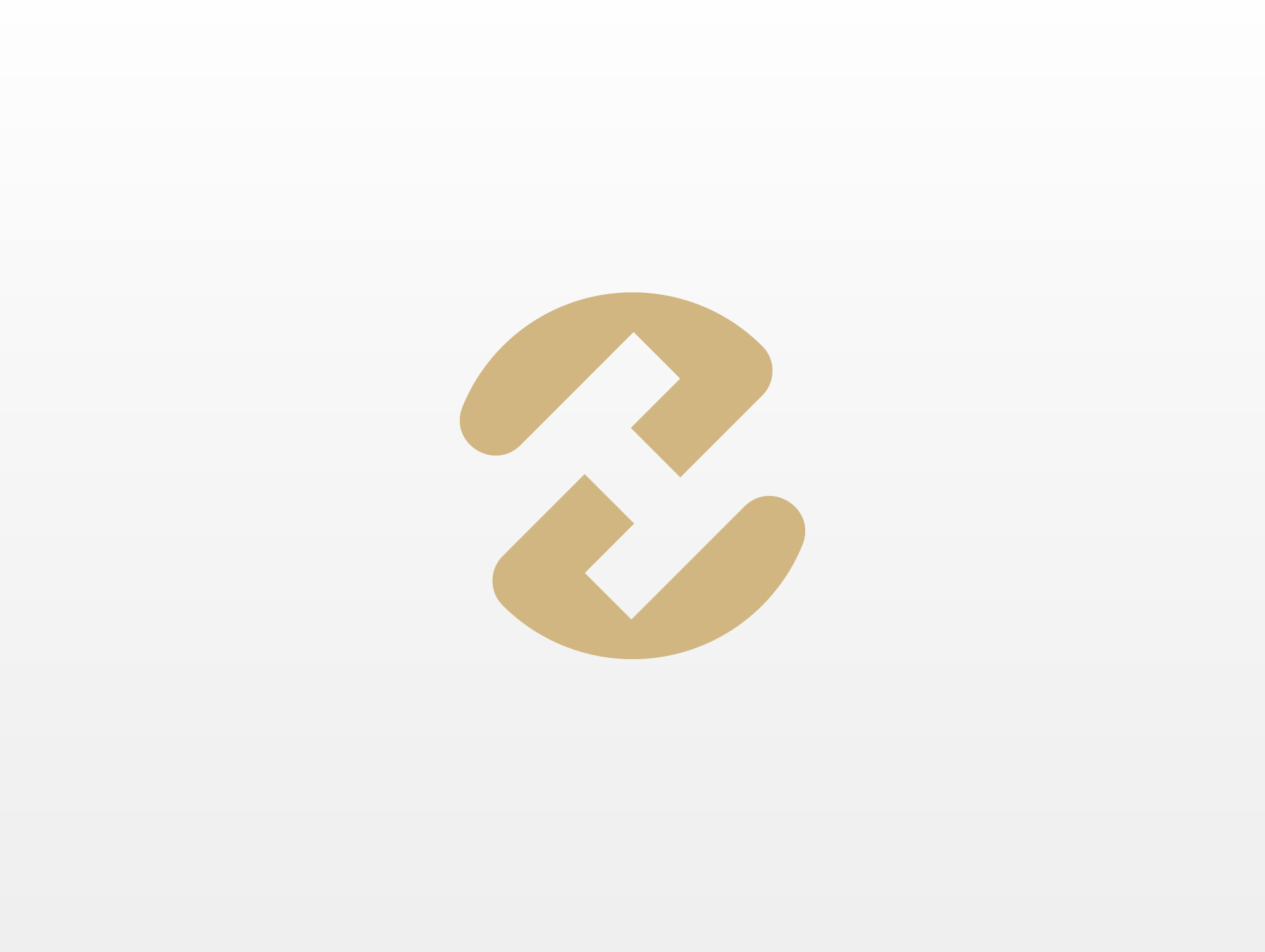 Example of Custom Logo Design Professional 