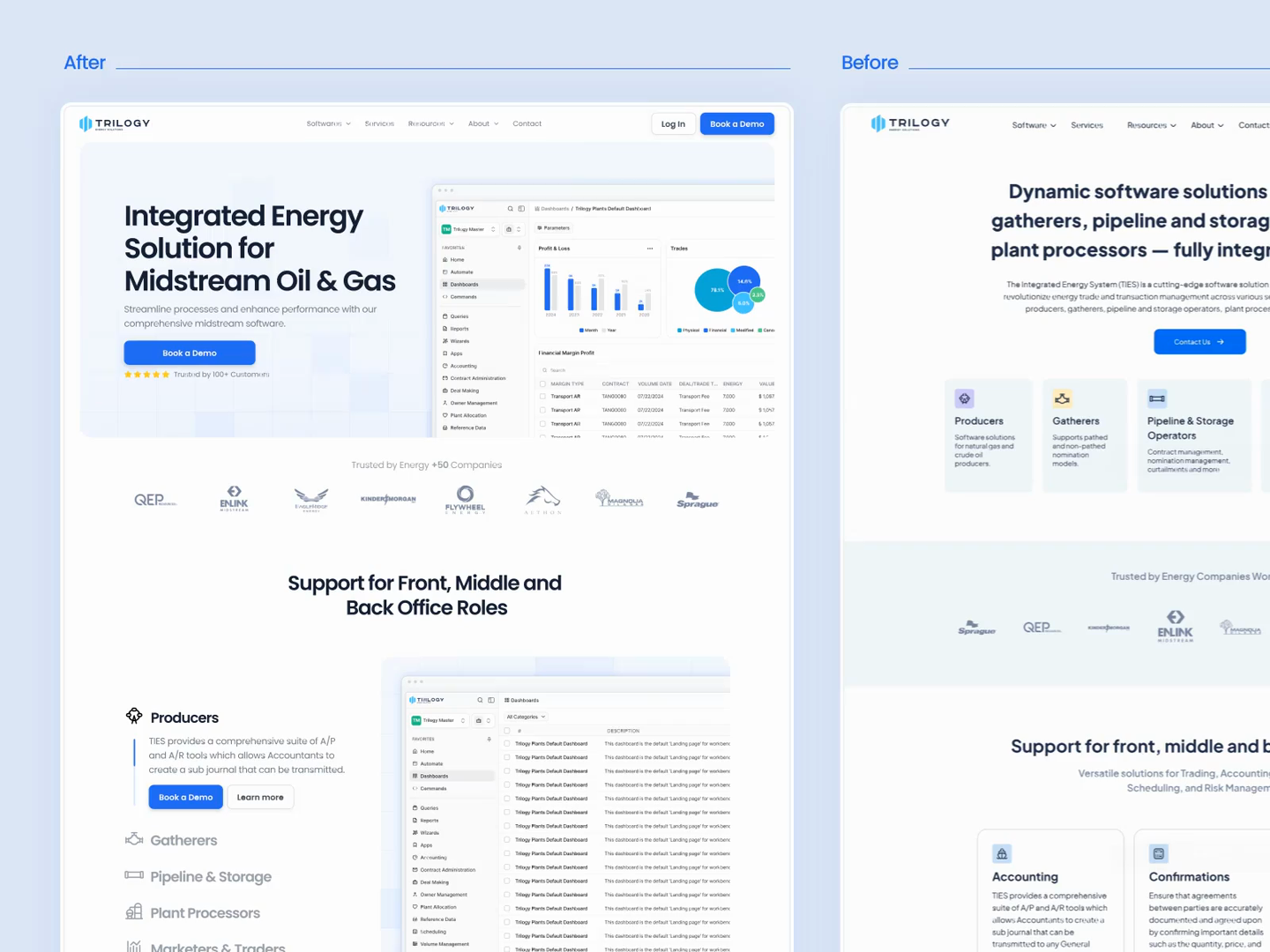 Example of B2 B Website Design