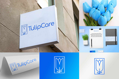 Tulipcare application web gestion établissement hospitalier