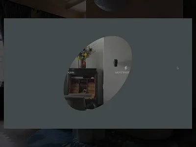 Interior design studio - DIKOVINA 3dinterior decor interior interior designer interior salon interior store interiordesign studio