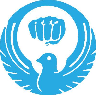 Budogym Fist branding design illustration karate logo