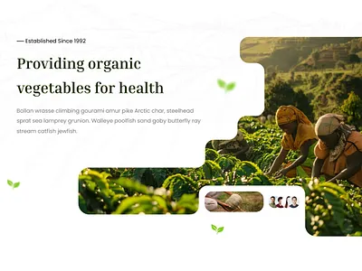 Agriculture Landing Page 3d animation app branding design graphic design icon illustration logo minimal typography ui ux vector web website