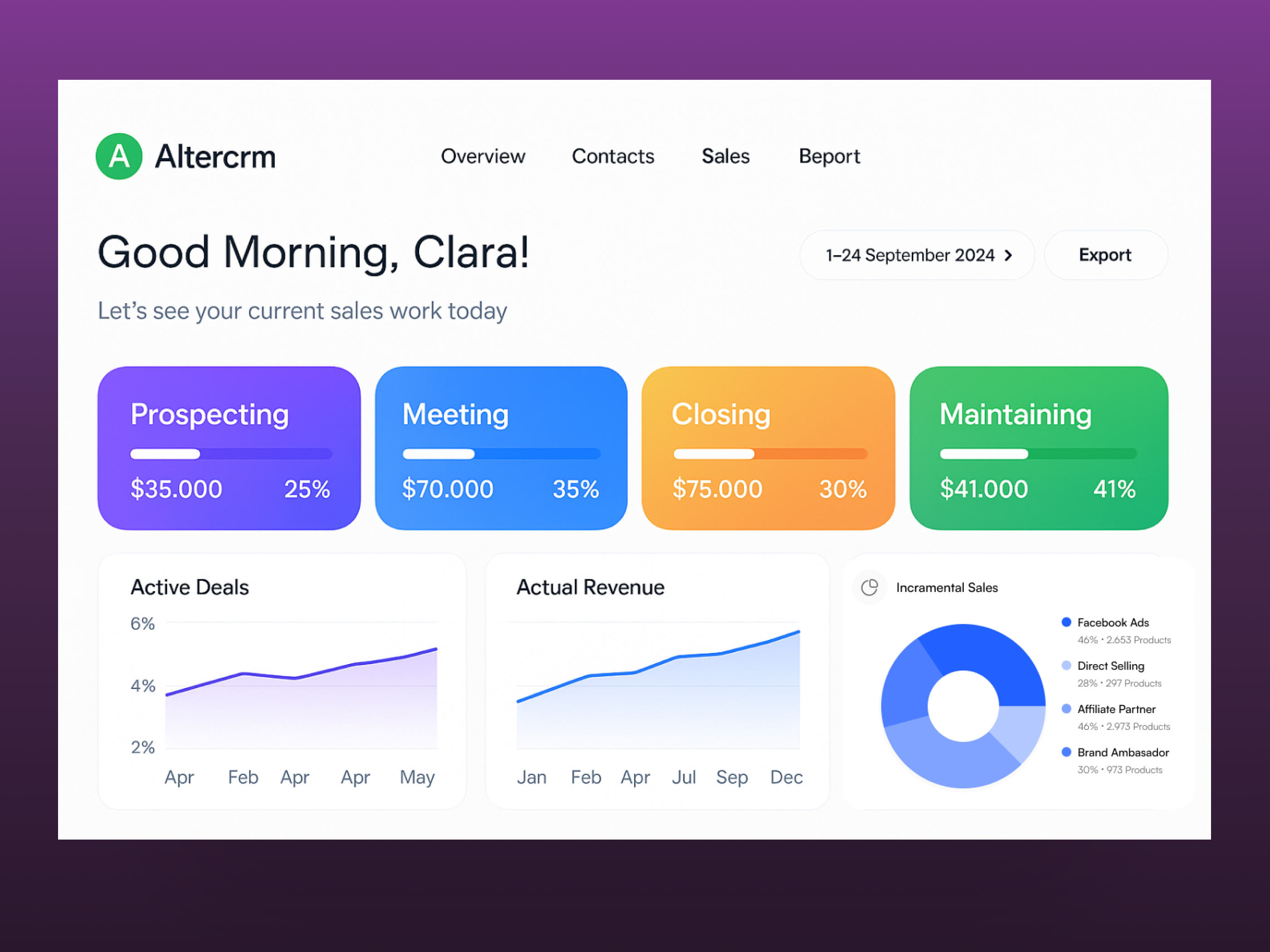 Example of Saas Design (5 Pages )
