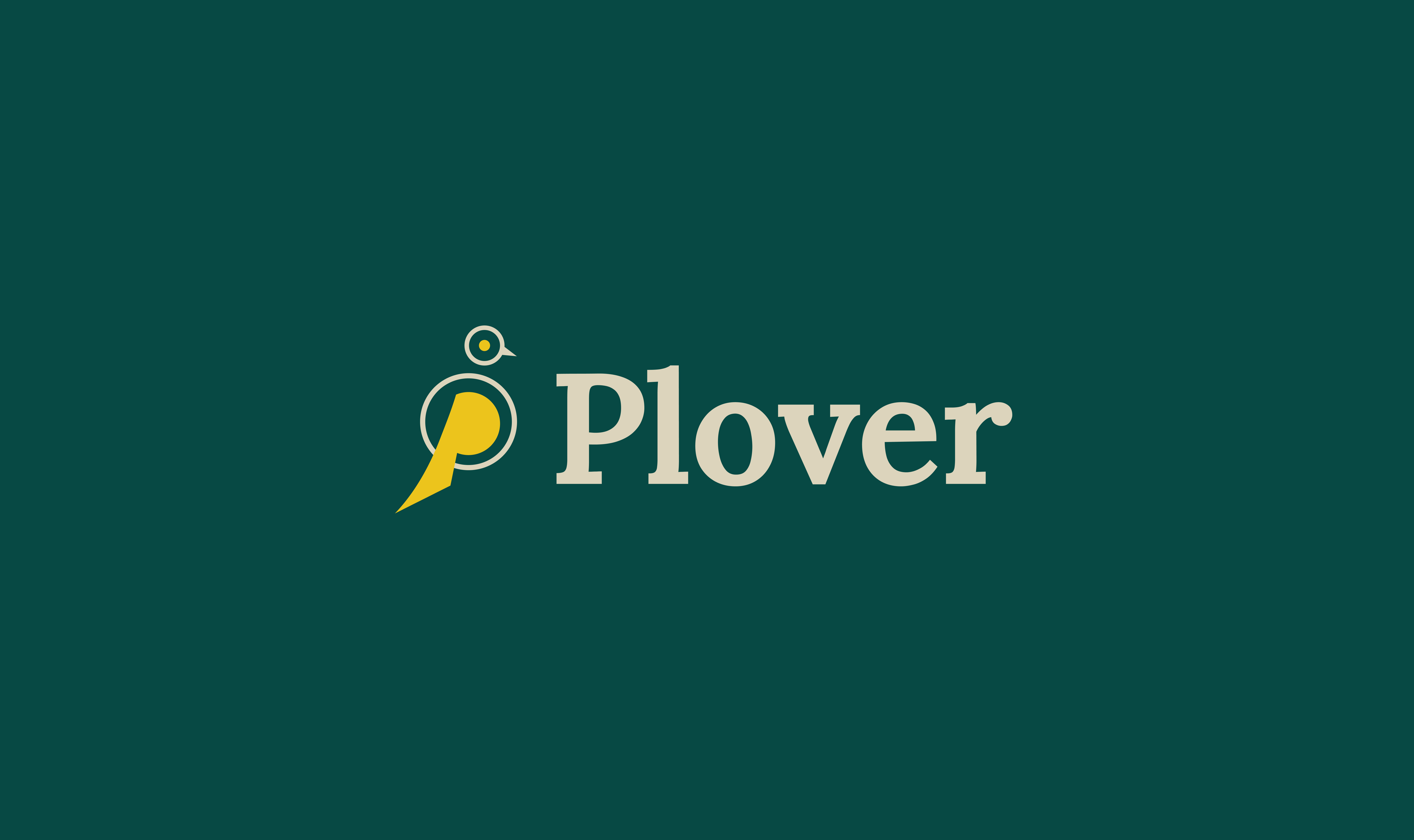 Plover Visual Identity branding graphic design kigali logo rwanda visual identiy