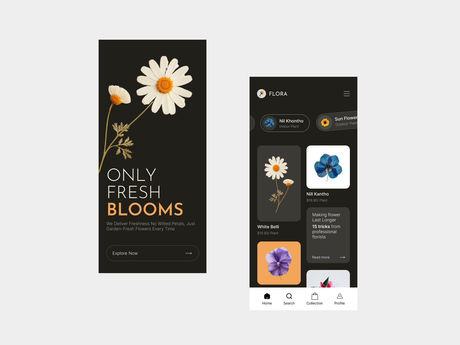 Only Fresh Blooms app app design blooms blooms app creative design delivery app flower flower app flower delivery fresh blooms garden app minimal app mobile app modern app smart app store app ui uidesign user experience