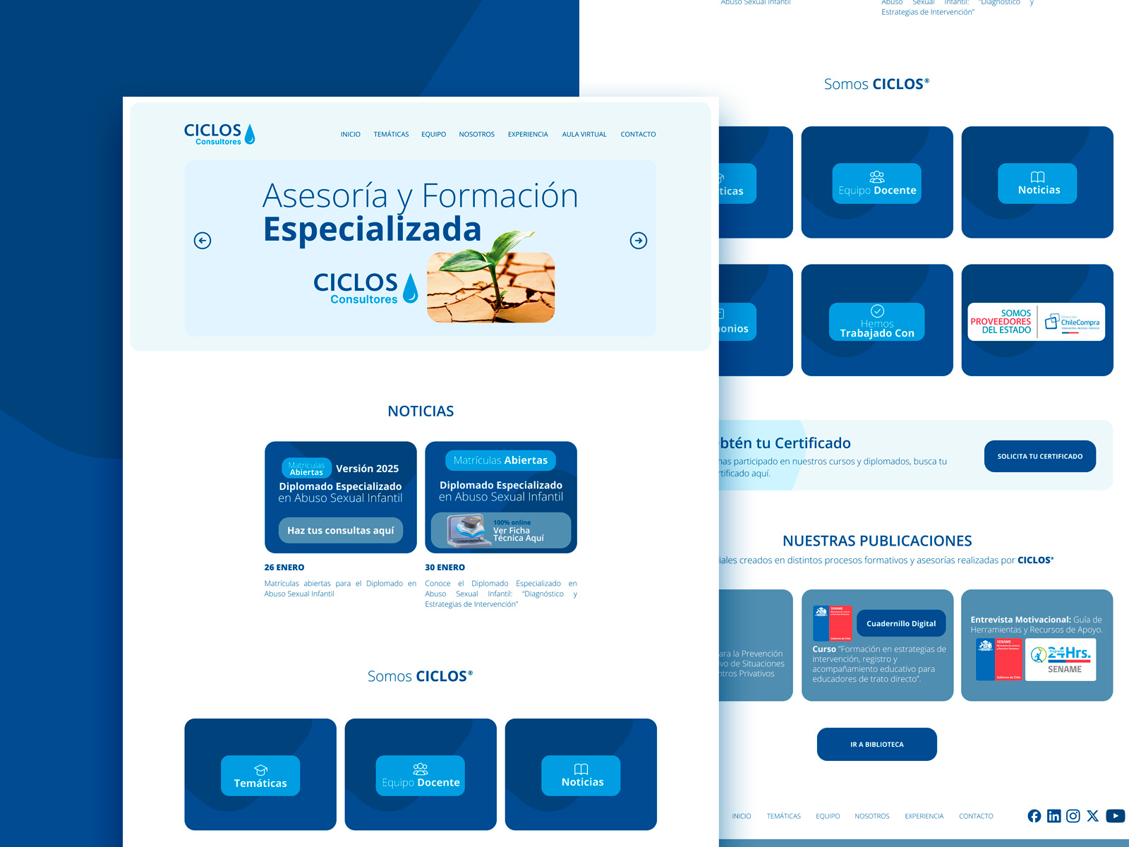 Example of Web Design & Development In Word Press
