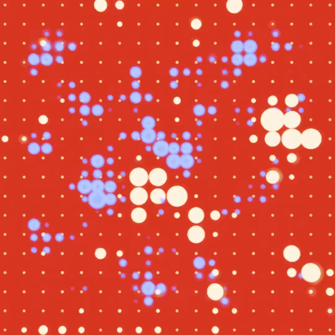 Example of Animated Brand Identity Starter