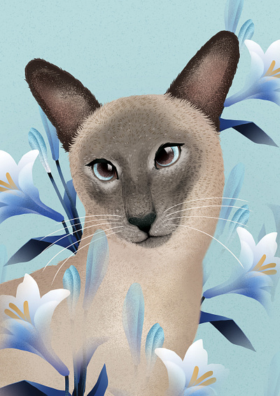 A BEAUTIFUL CAT animal cat digital art graphic design illustration photoshop portrait