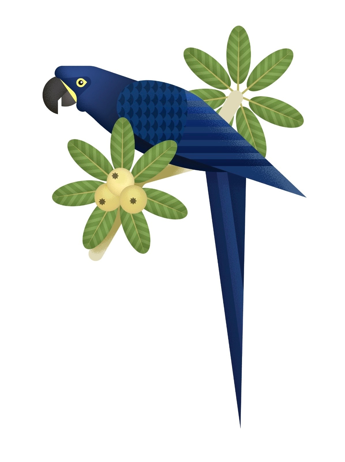 Blue Macaw draw figma flat geometric illustration midcentury minimal vector wildlife