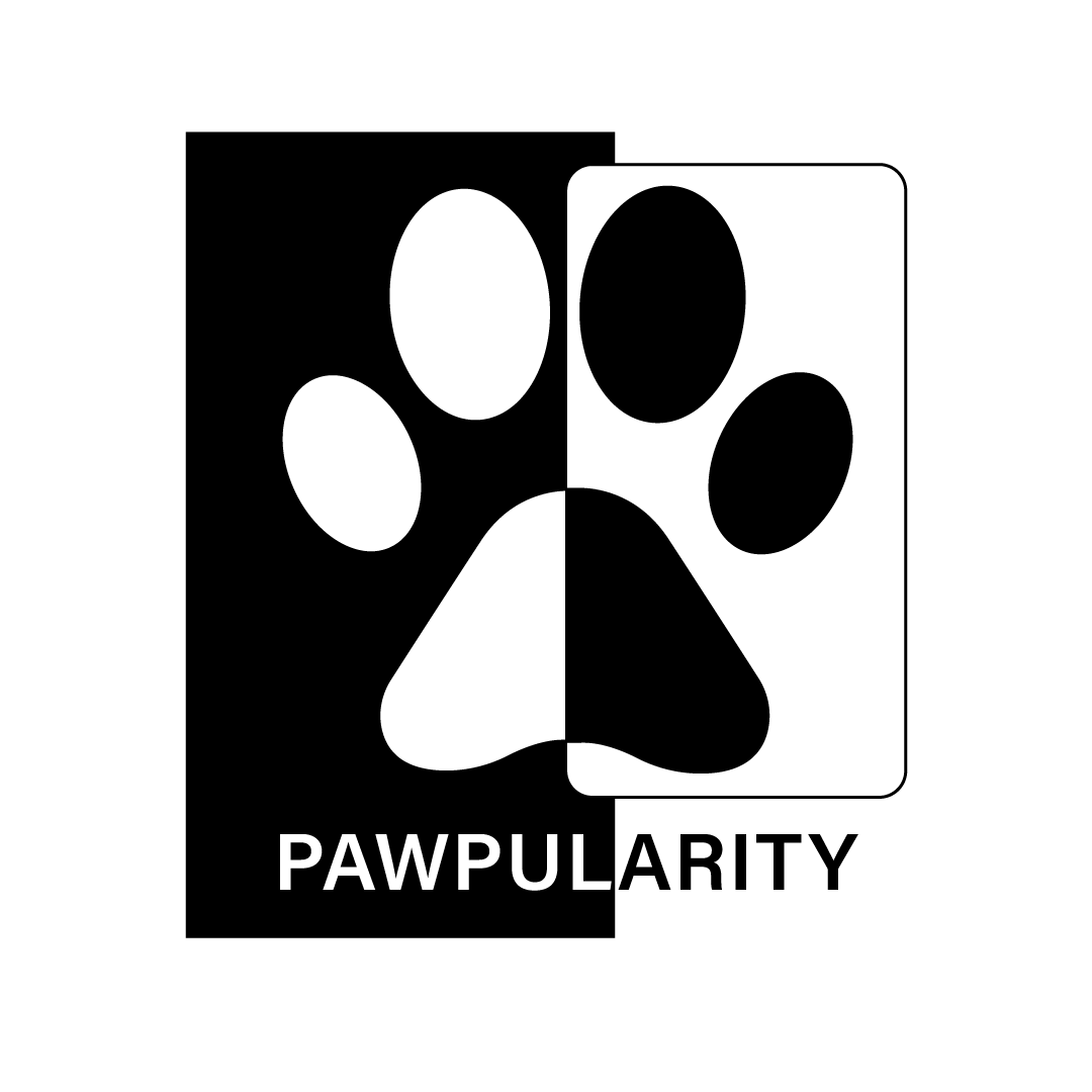 Example of Branding Kit: Logo, Brand Guide, Mockups