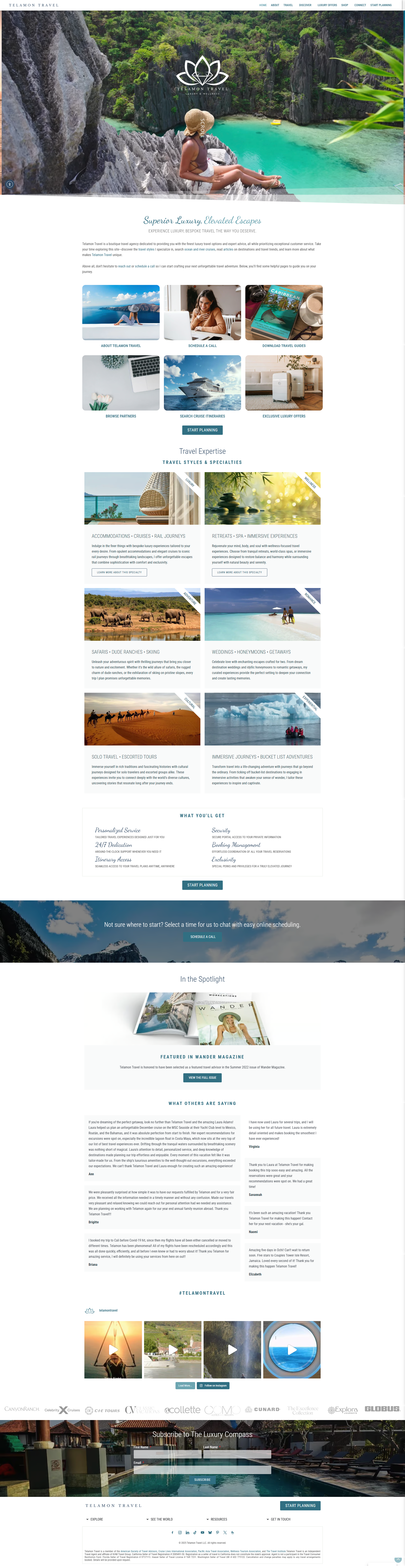 Telamon Travel (web) branding logo website