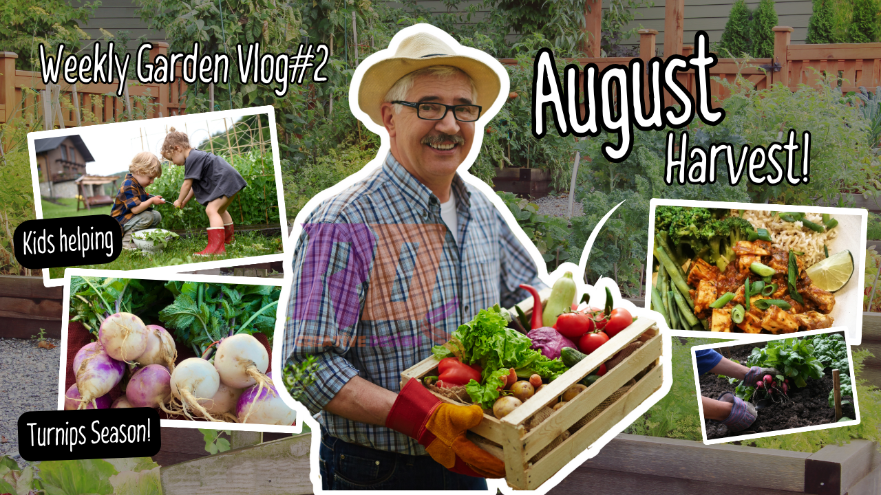 Example of Eye Catching You Tube Thumbnail Design