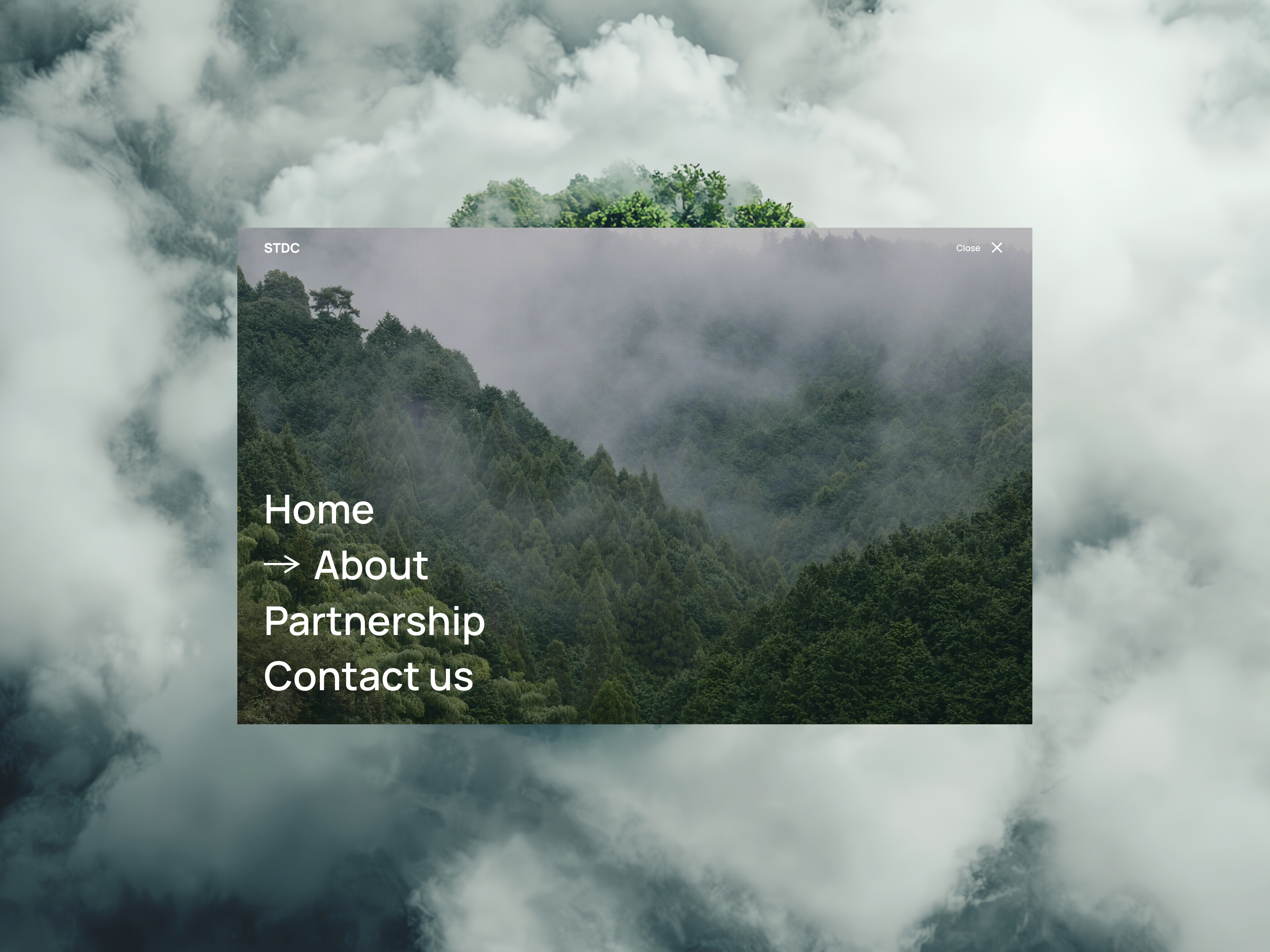 Example of Development Only (Webflow / Code)