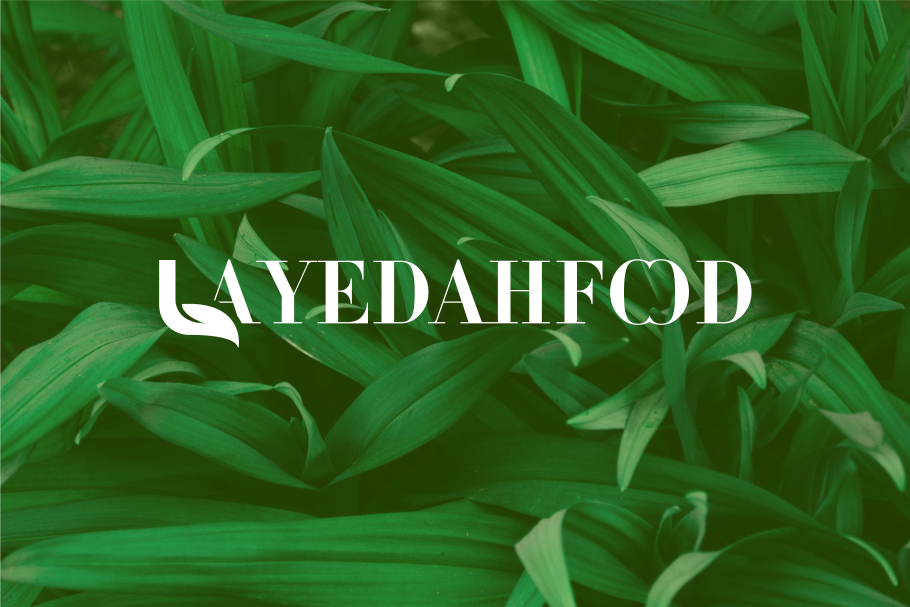 Layedah food Logo Design identity