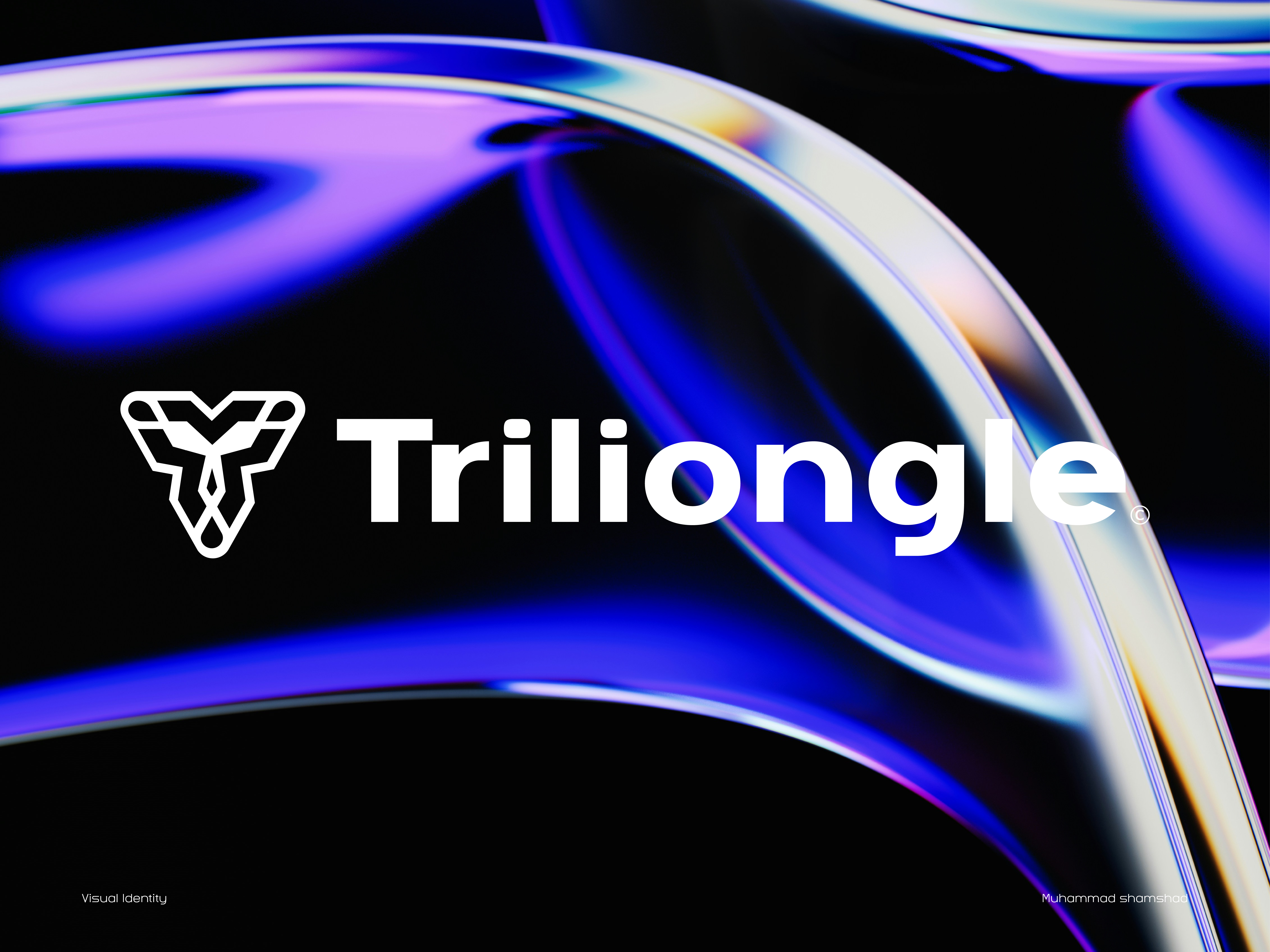 Visual Identity - Triliongle© brand branding design graphic design identity illustration logo logodesign ui vector